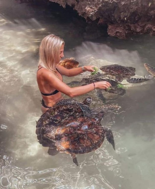 Nungwi Aqurium with sunset at kendwa Beach half day tour | ®ExcursionMania