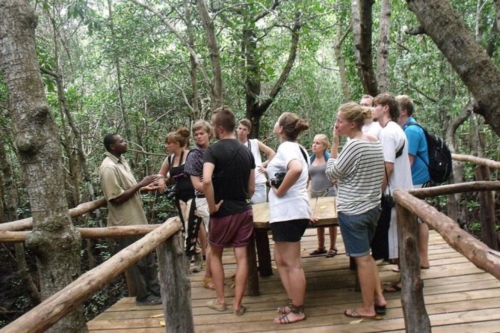 Zanzibar: Jozani nature walk and wildlife tour | ®ExcursionMania
