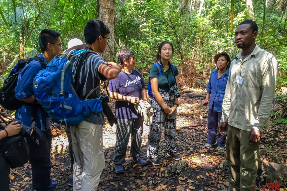 Zanzibar: Jozani nature walk and wildlife tour | ®ExcursionMania