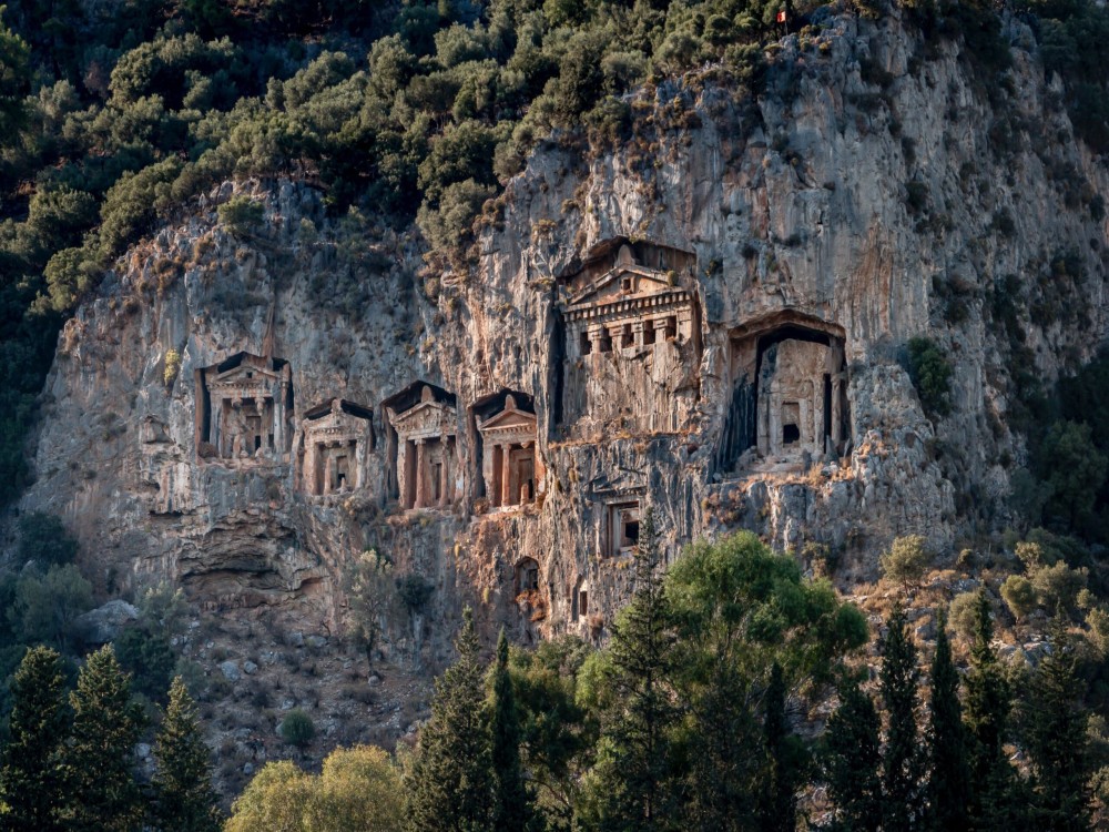 Image 6