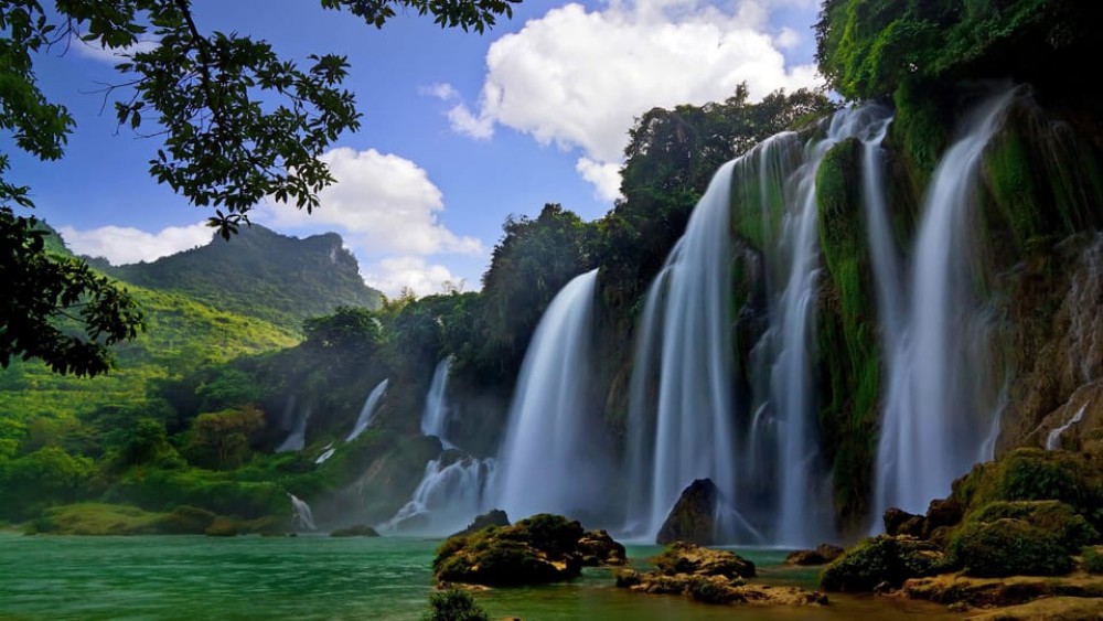 From Hue/Da Nang/Hoi An: Bach Ma National Park Trekking Tour | ®ExcursionMania