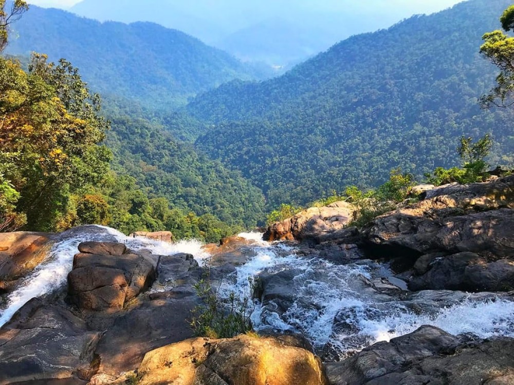 From Hue/Da Nang/Hoi An: Bach Ma National Park Trekking Tour | ®ExcursionMania