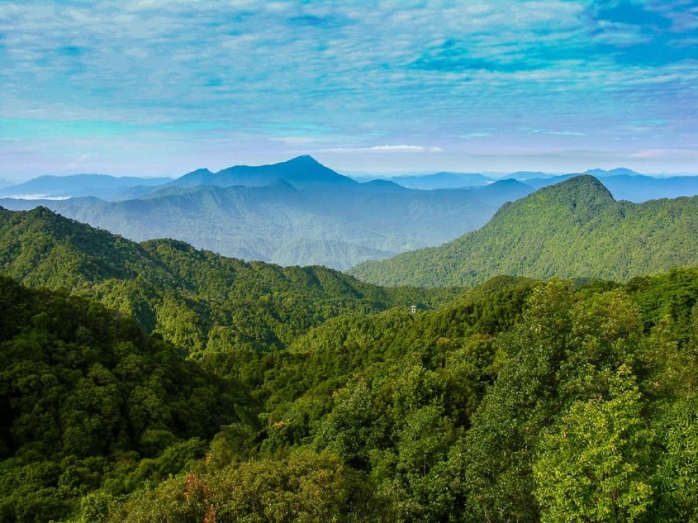 From Hue/Da Nang/Hoi An: Bach Ma National Park Trekking Tour | ®ExcursionMania