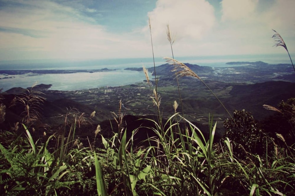 From Hue/Da Nang/Hoi An: Bach Ma National Park Trekking Tour | ®ExcursionMania
