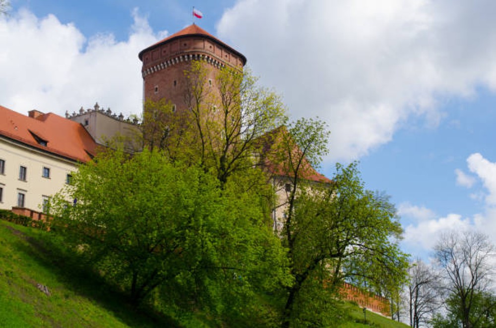 Image 4
