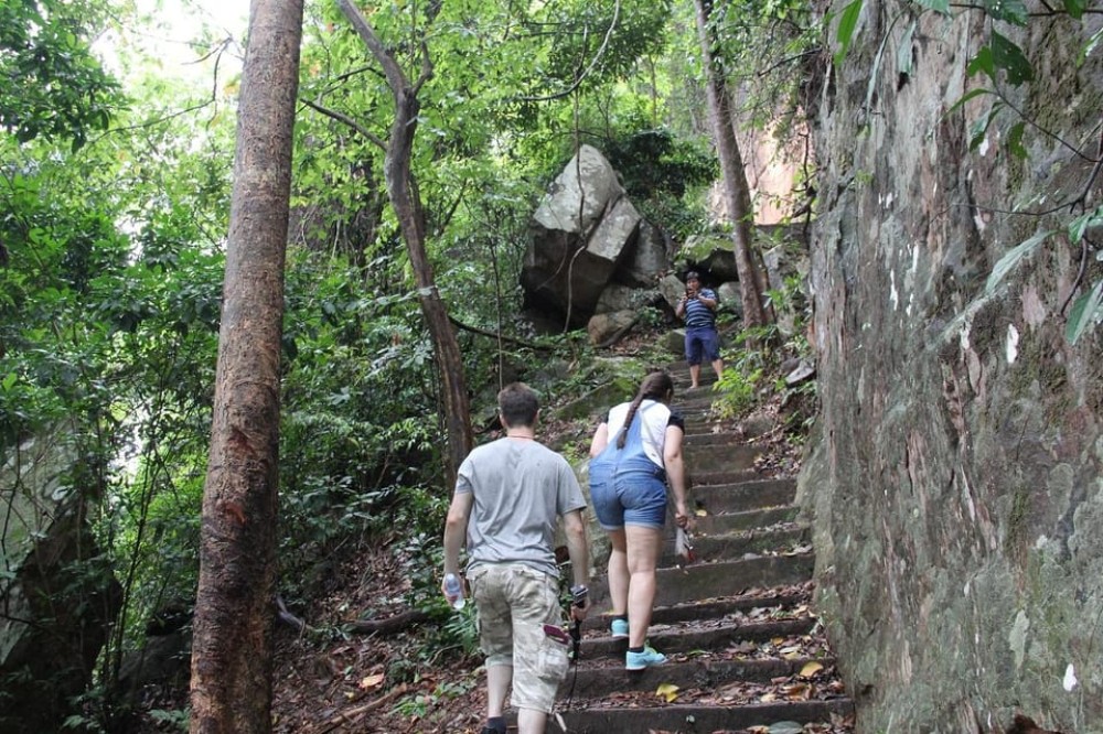 Image 10