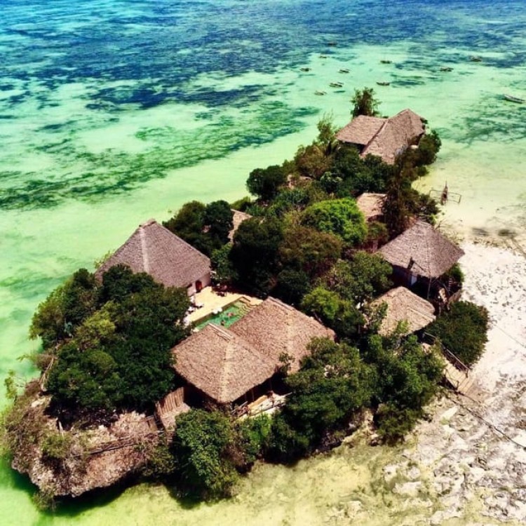 Jozani Forest, Pongwe, Snorkeling with Turtles, Clear Kayak | ®ExcursionMania