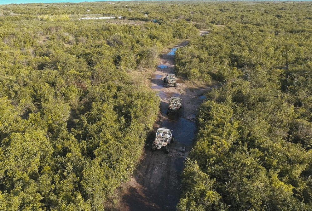 Zanzibar Original Buggy Adventure | ®ExcursionMania