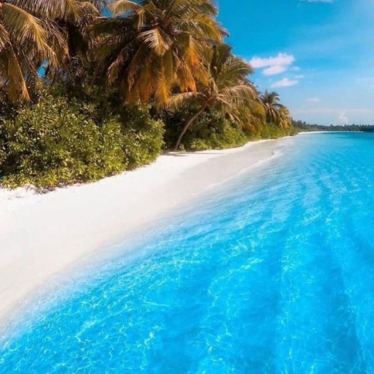 Prison Island, Spice Tour, The Island Pongwe, Kendwa Beach | ®ExcursionMania