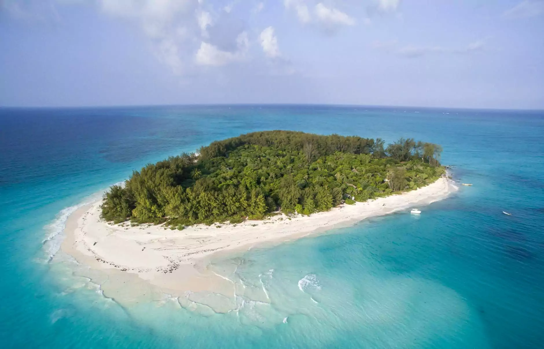 Zanzibar: Mnemba Island, Monkeys & Kuza Cave Private Tour | ®ExcursionMania