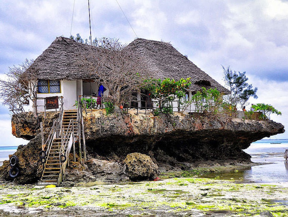 Dolphin Tour, Kuza Cave, The Rock, Paje Beach, Jozani Forest | ®ExcursionMania