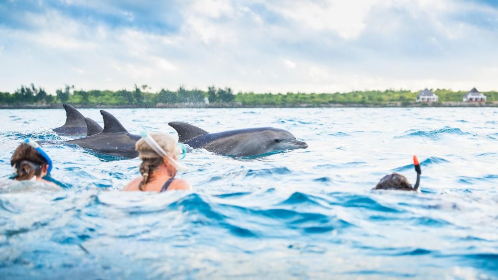 Dolphin Tour, Kuza Cave, The Rock, Paje Beach, Jozani Forest | ®ExcursionMania