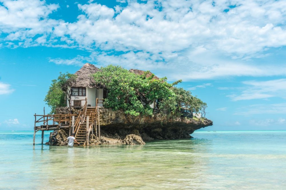Dolphin Tour, Kuza Cave, The Rock, Paje Beach, Jozani Forest | ®ExcursionMania