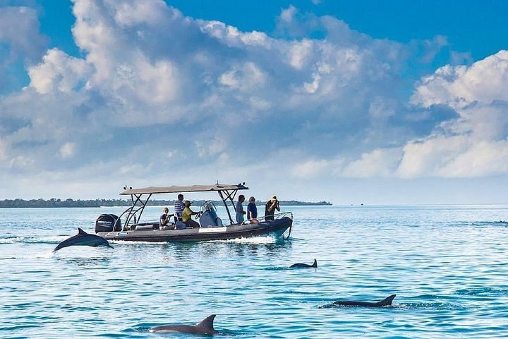 Dolphin Tour, Blue Lagoon, Starfish, The Rock, Paje Beach | ®ExcursionMania