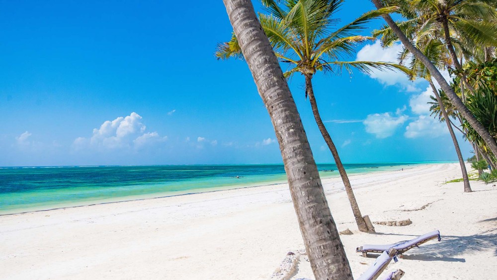 Dolphin Tour, Blue Lagoon, Starfish, The Rock, Paje Beach | ®ExcursionMania