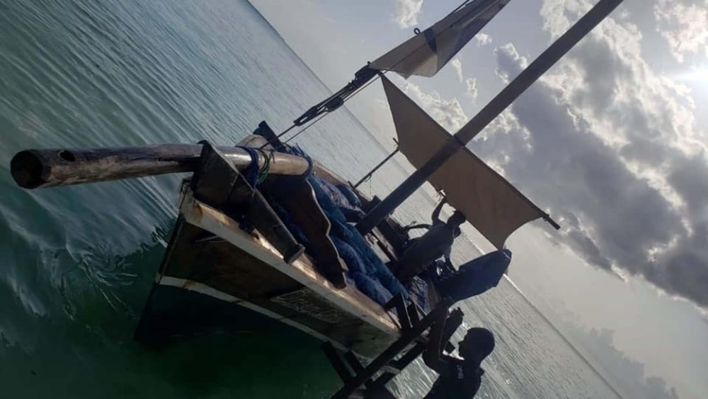 Kendwa or Nungwi Sunset Dhow Cruise | ®ExcursionMania