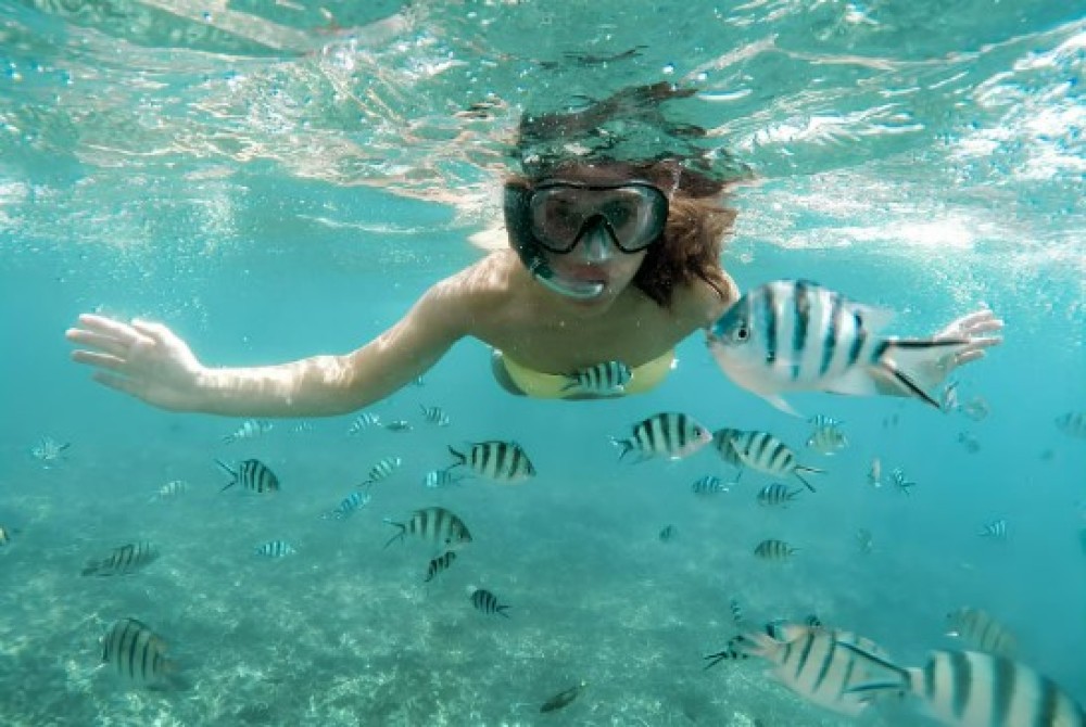 From Zanzibar: Mnemba Boat Tour with Snorkeling & Dolphine | ®ExcursionMania
