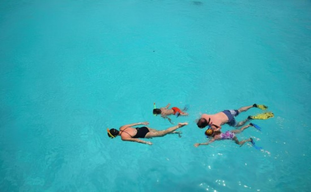 From Zanzibar: Mnemba Boat Tour with Snorkeling & Dolphine | ®ExcursionMania