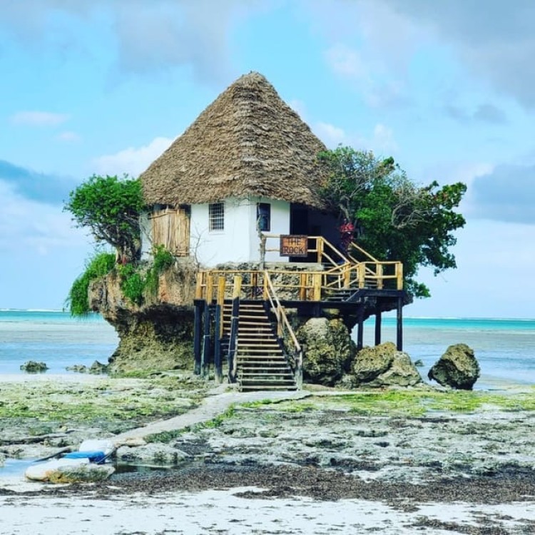 Dolphin Tour, Starfish Tour, BlueLagoon, The Rock, Kuza Cave | ®ExcursionMania