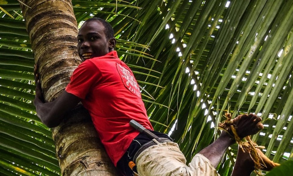 Zanzibar : Spice Farms Tour & Traditional Cooking Class | ®ExcursionMania