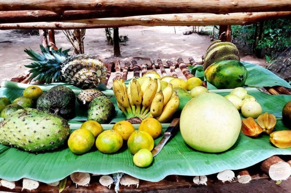 Zanzibar : Spice Farms Tour & Traditional Cooking Class | ®ExcursionMania