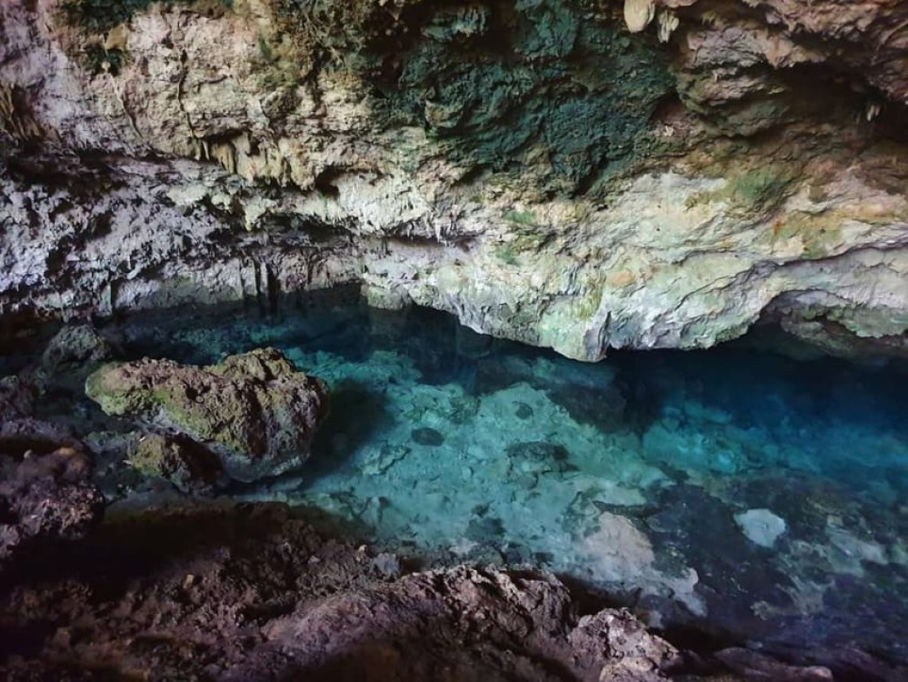Jozani Forest, Ngonga Cave, Kuza Cave, The Rock Restaurant | ®ExcursionMania