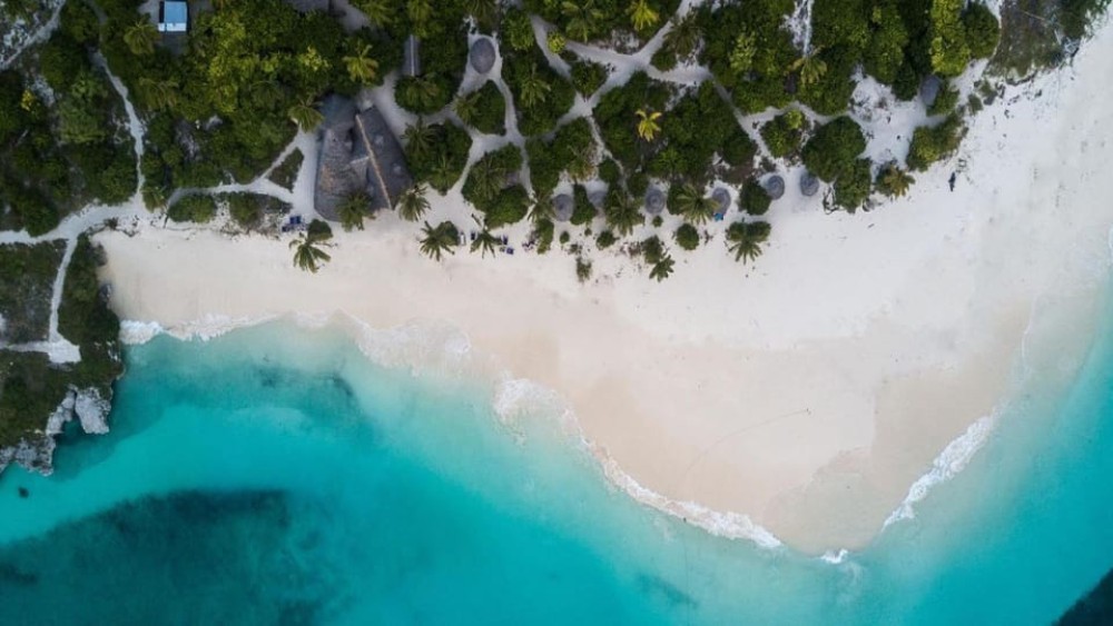 Blue Lagoon, Starfish Tour, The Rock, Kuza Cave, Paje Beach | ®ExcursionMania