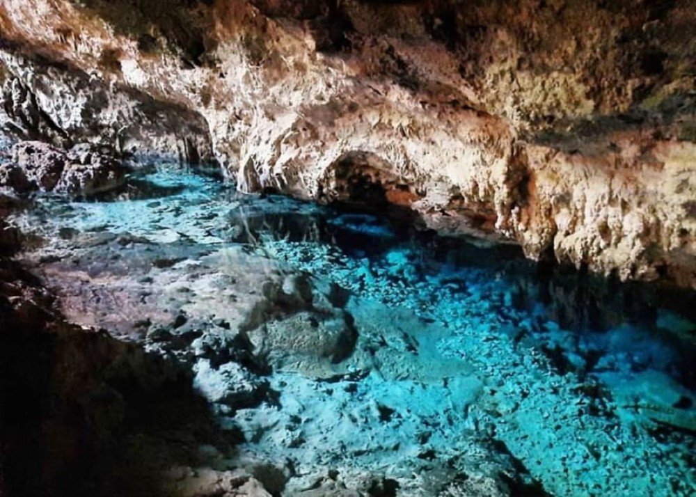 Mnemba Dolphin Tour, The Rock Restaurant, Kuza Cave Tour | ®ExcursionMania