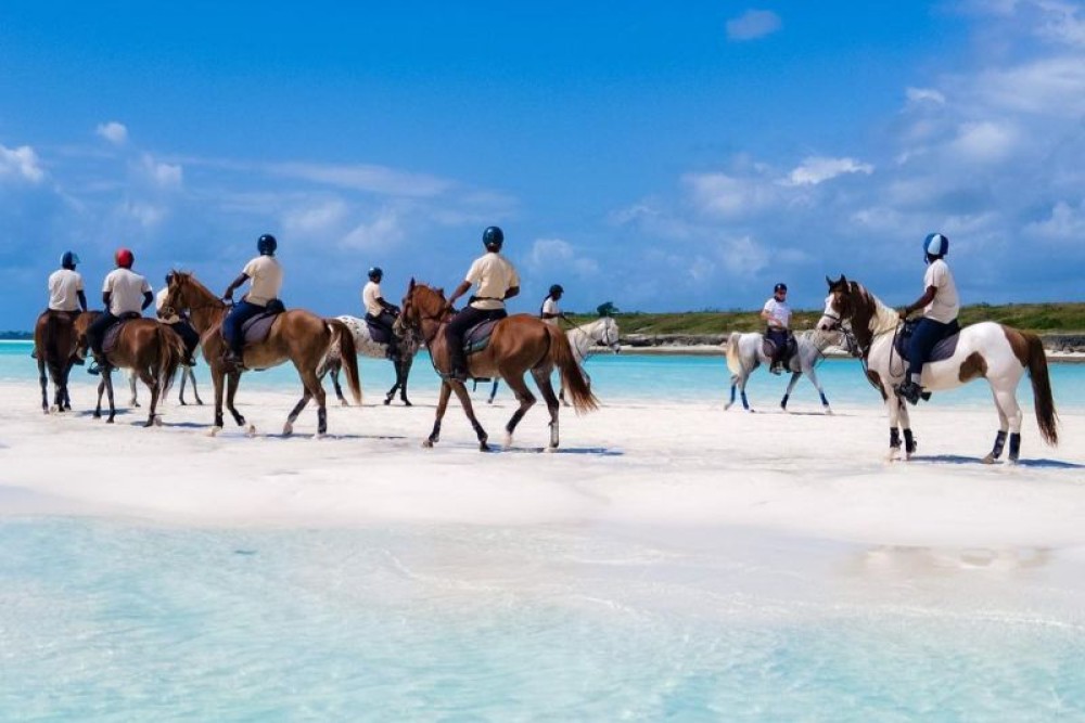 Zanzibar: Beach Horseback Ride and Swim with the Horse | ®ExcursionMania