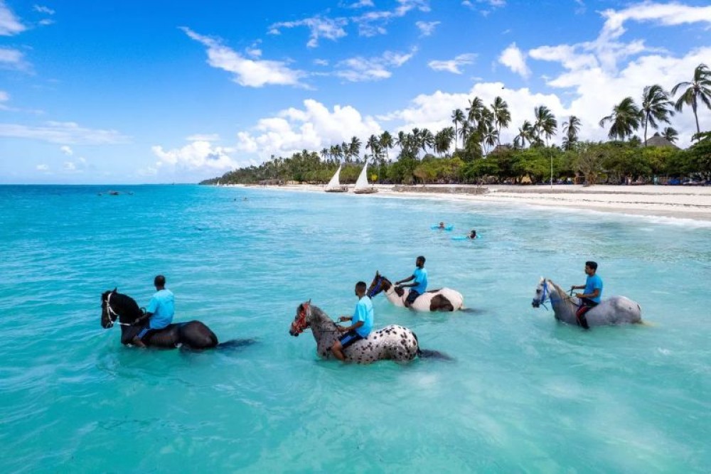 Zanzibar: Beach Horseback Ride and Swim with the Horse | ®ExcursionMania