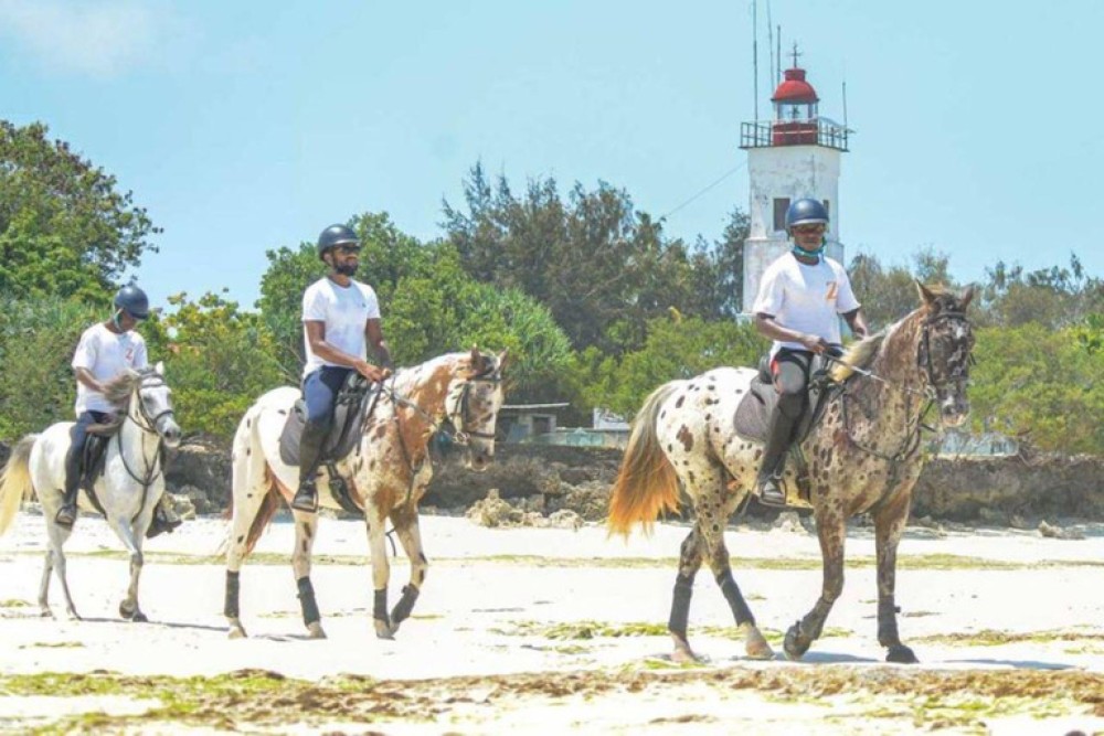 Zanzibar: Beach Horseback Ride and Swim with the Horse | ®ExcursionMania