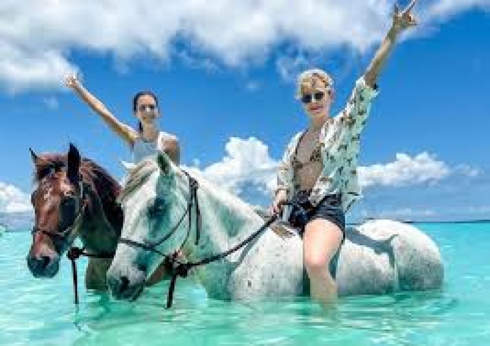 Zanzibar: Beach Horseback Ride and Swim with the Horse | ®ExcursionMania