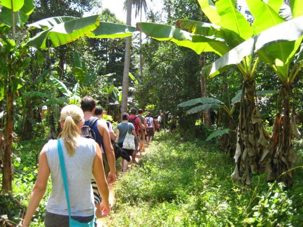 Zanzibar: Spice Tour | ®ExcursionMania
