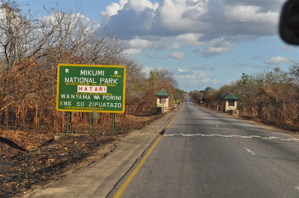 Mikumi National Park Day Visit | ®ExcursionMania