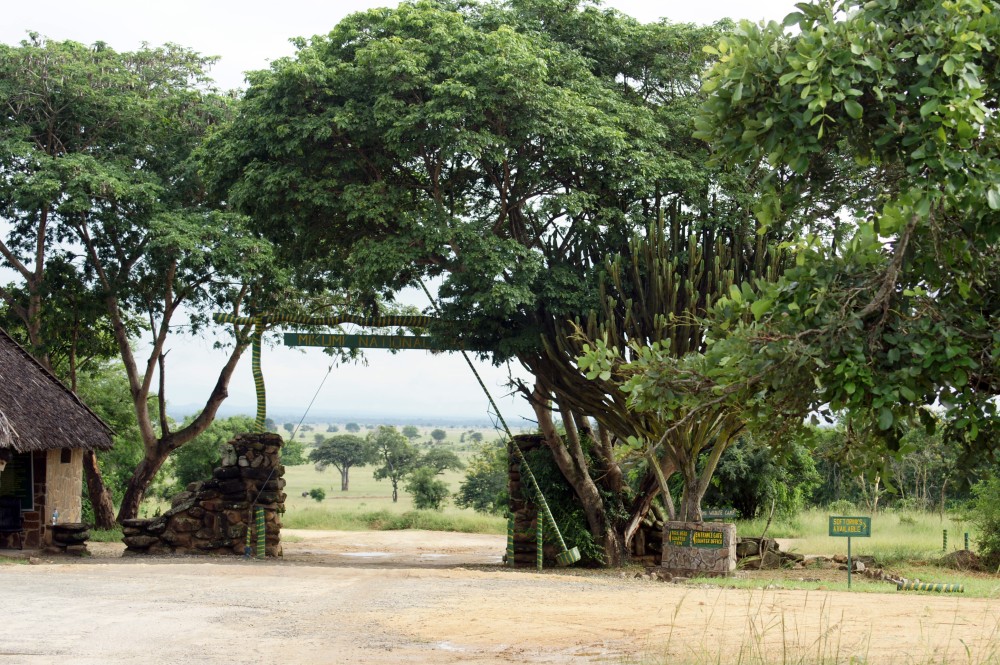 Mikumi National Park Day Visit | ®ExcursionMania