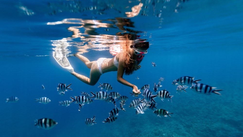 Dolphin & Tumbatu Island Snorkeling | ®ExcursionMania