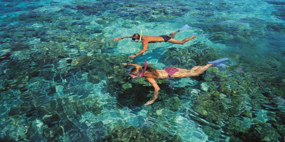 Dolphin & Tumbatu Island Snorkeling | ®ExcursionMania