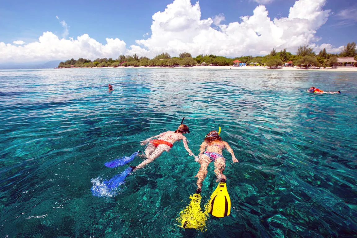 Dolphin & Tumbatu Island Snorkeling | ®ExcursionMania