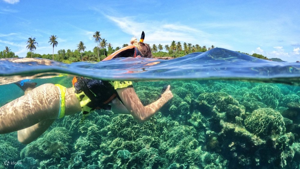 Dolphin & Tumbatu Island Snorkeling | ®ExcursionMania
