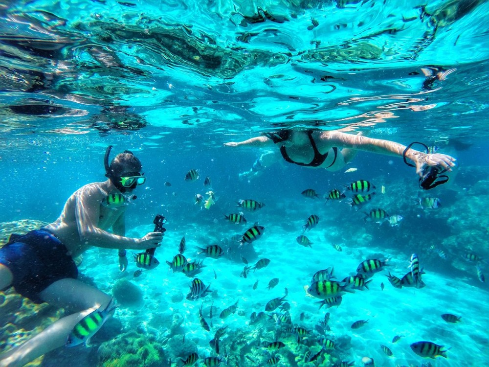 Dolphin & Tumbatu Island Snorkeling | ®ExcursionMania