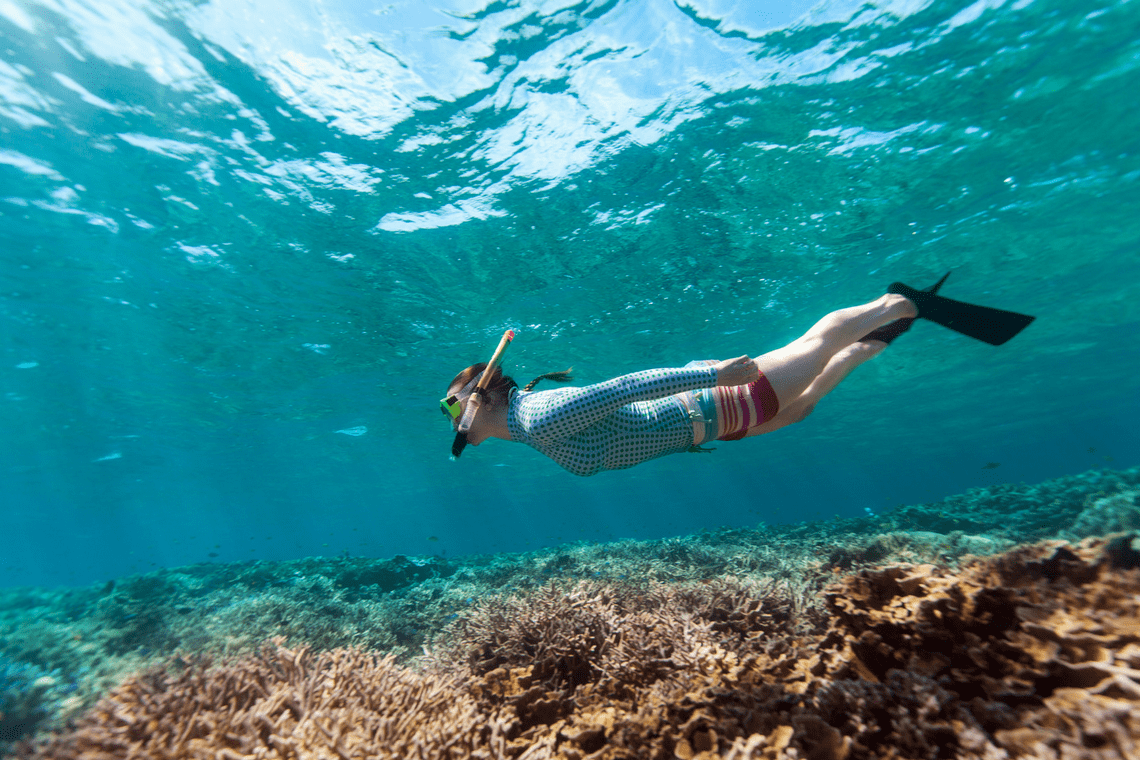 Dolphin & Tumbatu Island Snorkeling | ®ExcursionMania