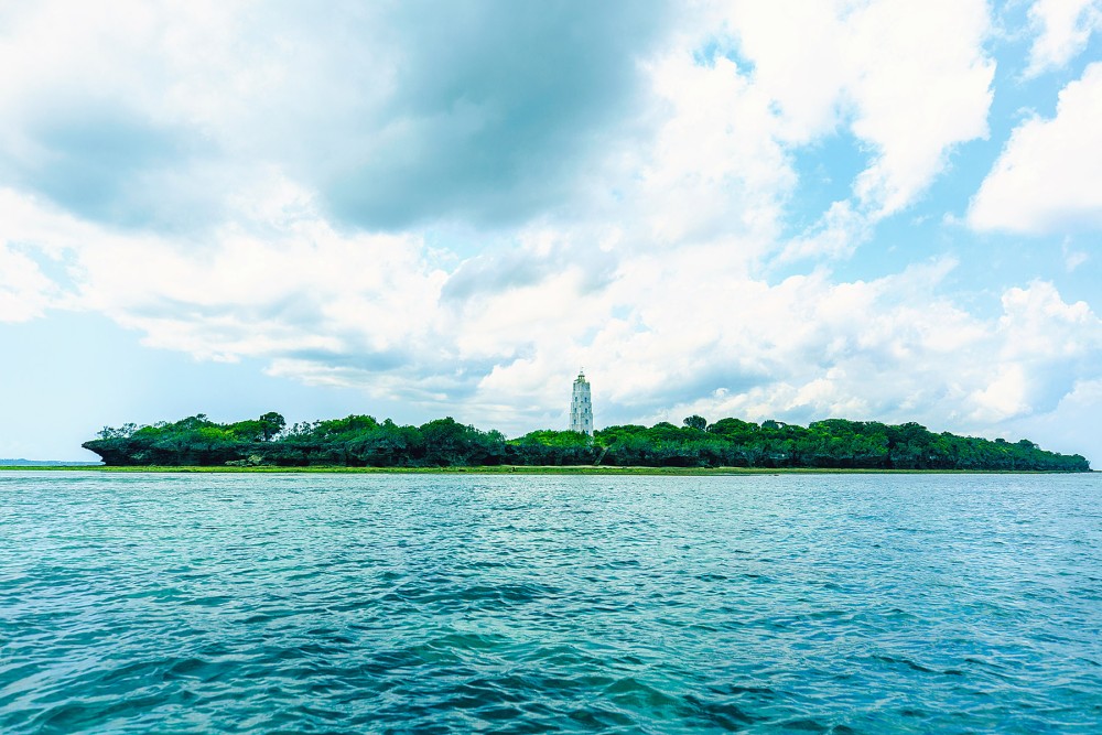 Dolphin & Tumbatu Island Snorkeling | ®ExcursionMania