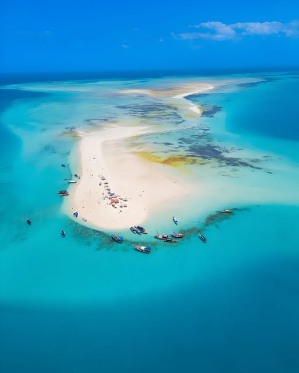 Zanzibar: Safari blue tour | ®ExcursionMania