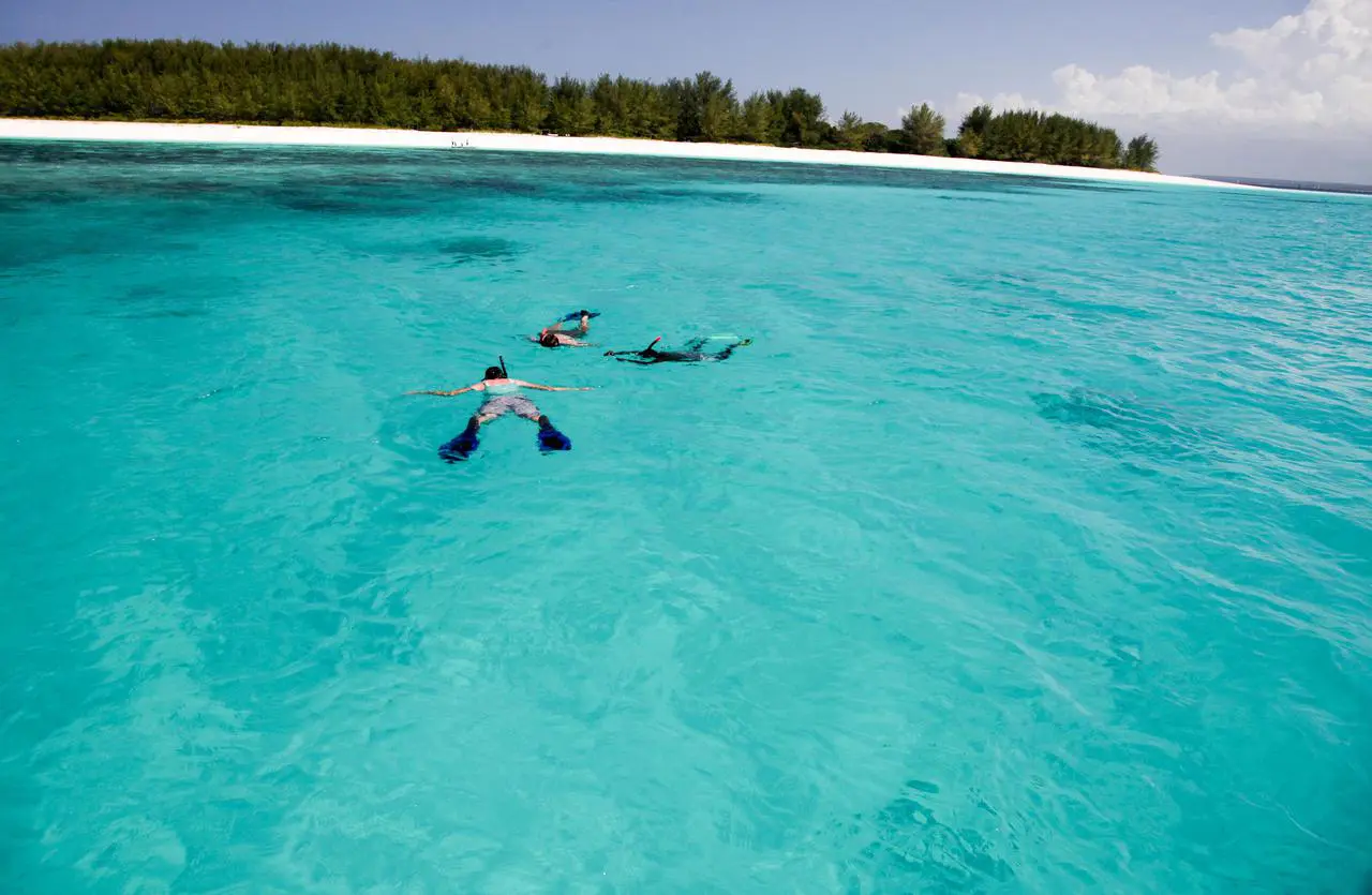Zanzibar: Mnemba Snorkeling and Dolphin Tour with Dhow Boat | ®ExcursionMania