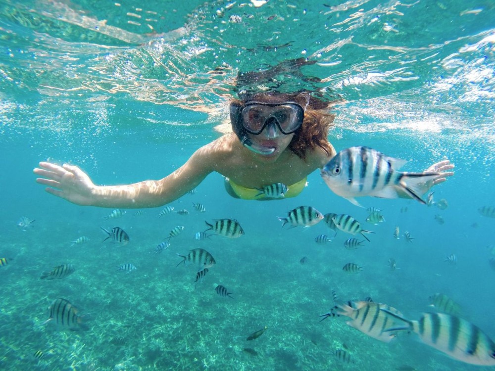 Zanzibar: Mnemba Snorkeling and Dolphin Tour with Dhow Boat | ®ExcursionMania