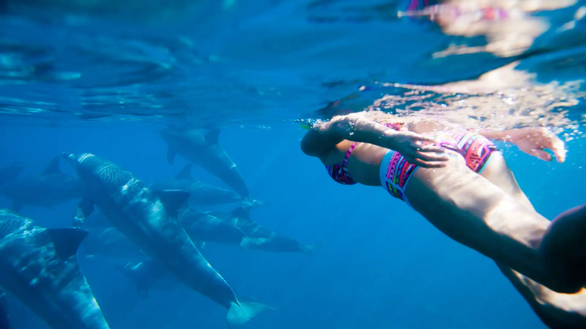 From Kendwa: Mnemba Atoll and Dolphin Snorkel Full Day Trip | ®ExcursionMania