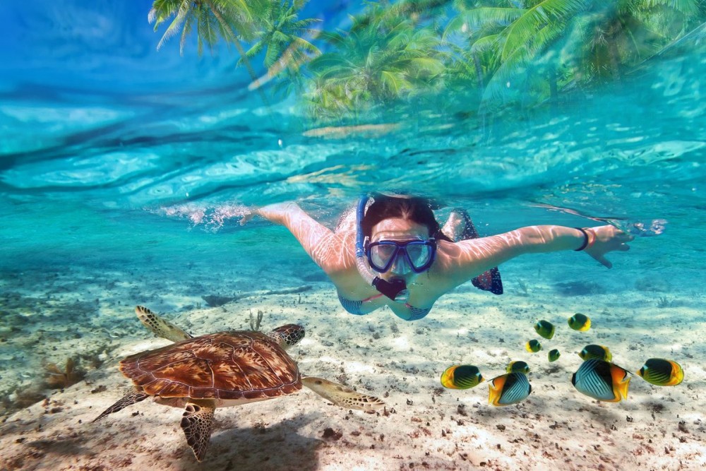 From Kendwa: Mnemba Atoll and Dolphin Snorkel Full Day Trip | ®ExcursionMania