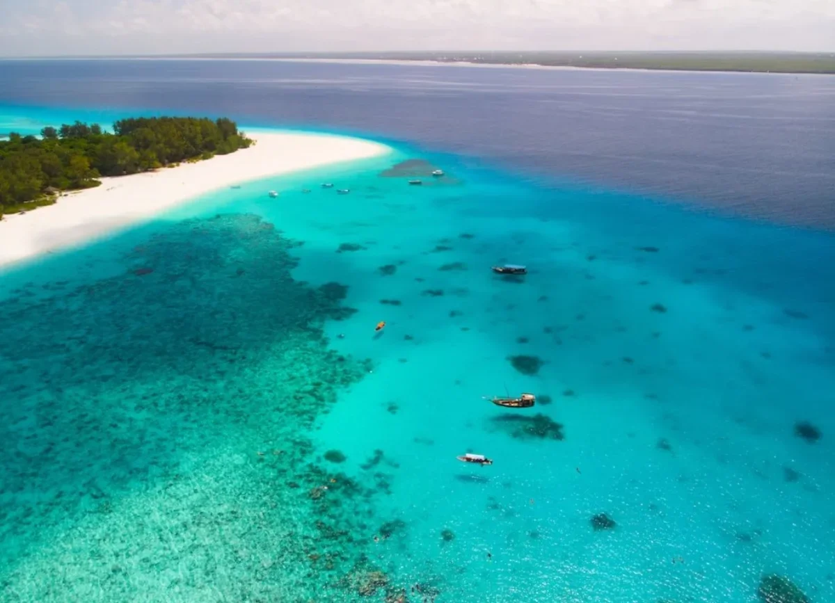 From Kendwa: Mnemba Atoll and Dolphin Snorkel Full Day Trip | ®ExcursionMania