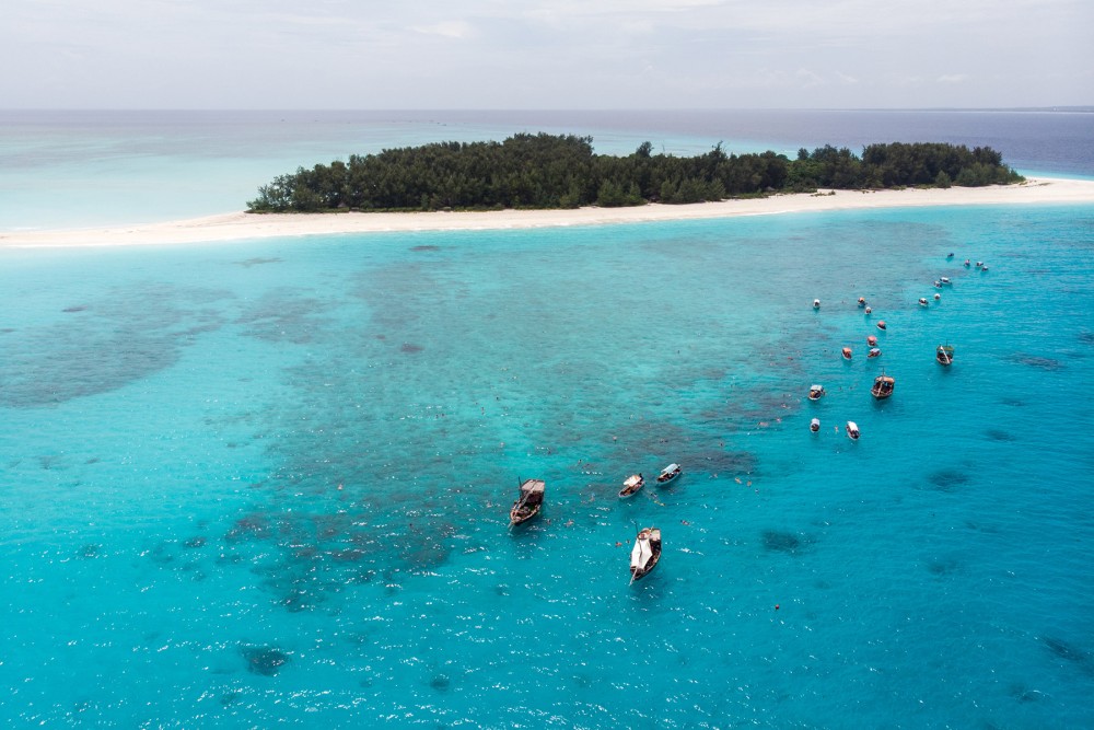 From Kendwa: Mnemba Atoll and Dolphin Snorkel Full Day Trip | ®ExcursionMania