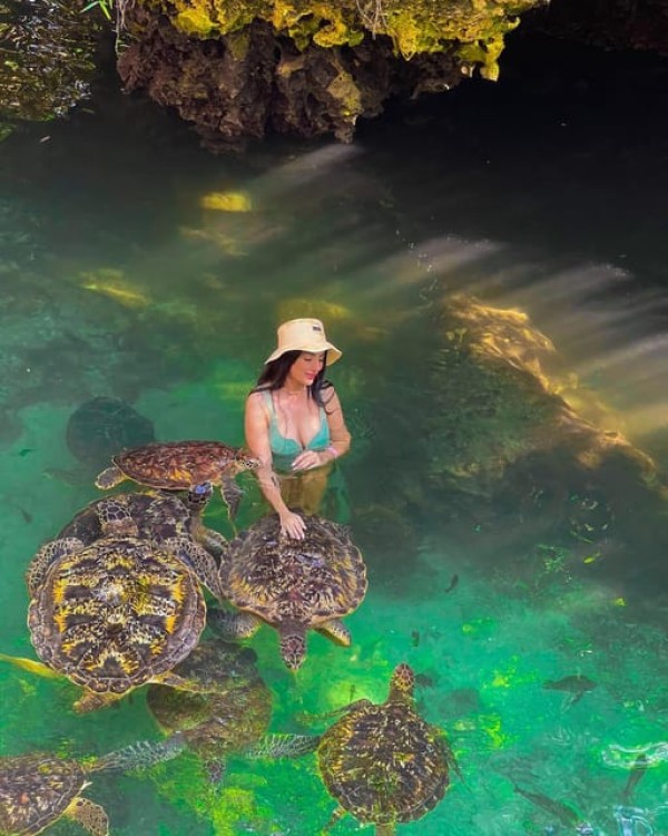 Zanzibar: Swim with Sea Turtles at Baraka or Salaam Aquarium | ®ExcursionMania